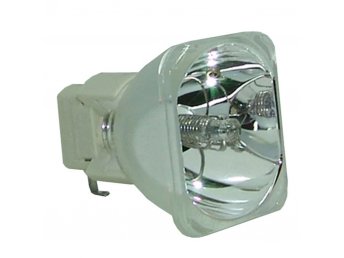 ACER P3250 Original Bulb Only